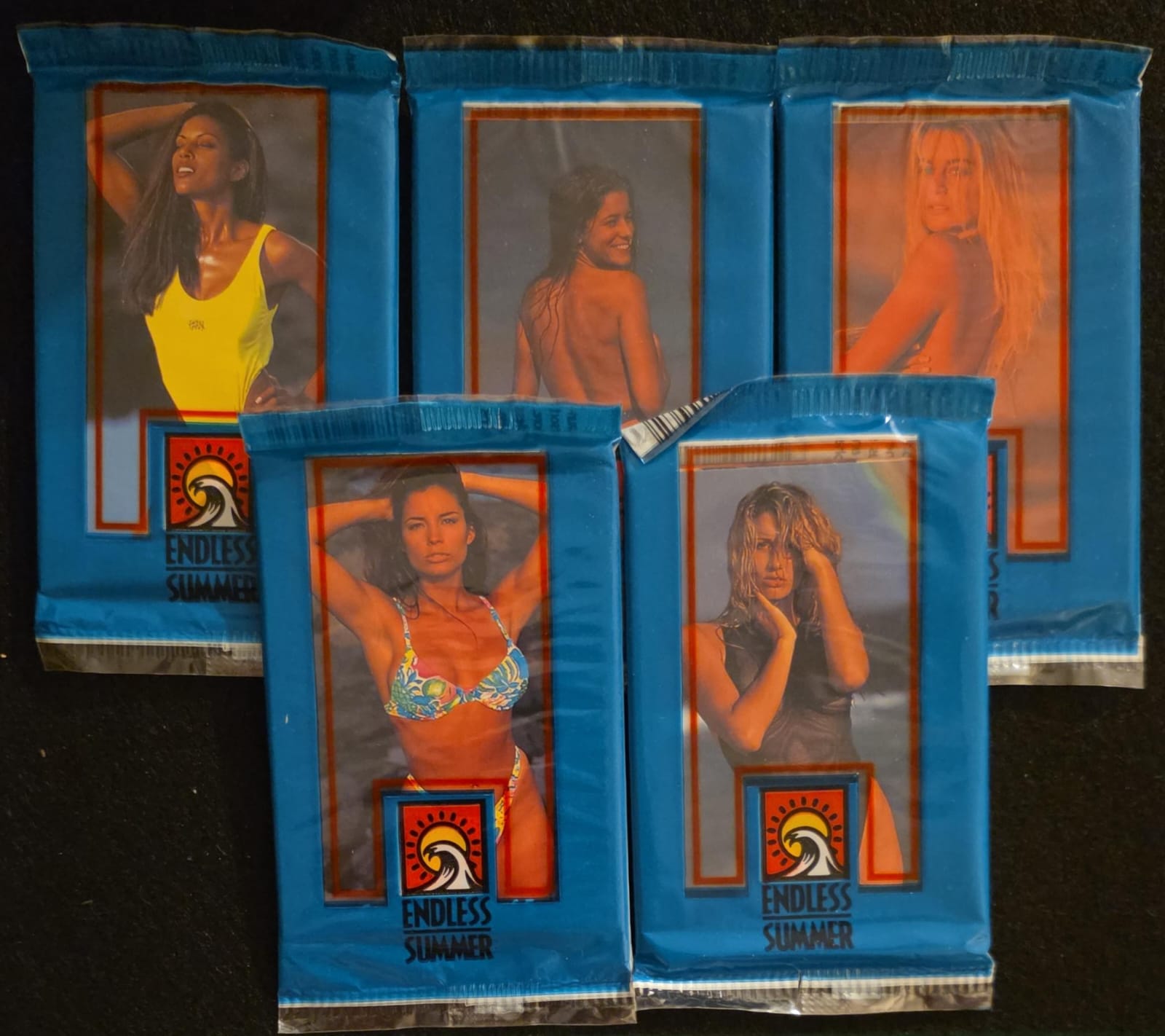 1993 Endless Summer Trading Cards – Portfolio Pack