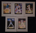 1999 Florida Marlins Presentation Display Card Collection / Team Set