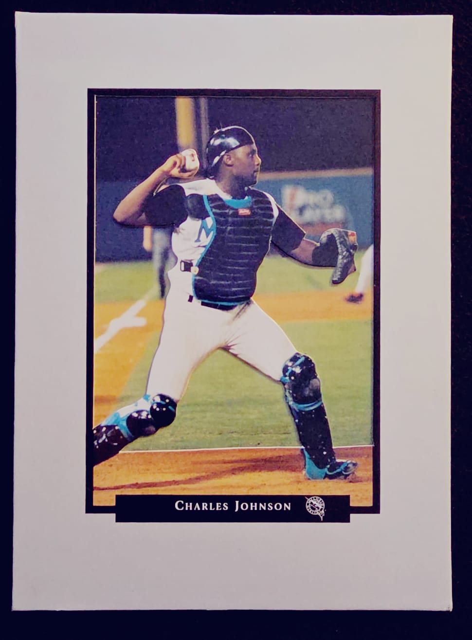 1999 Florida Marlins Presentation Display Card Collection / Team Set