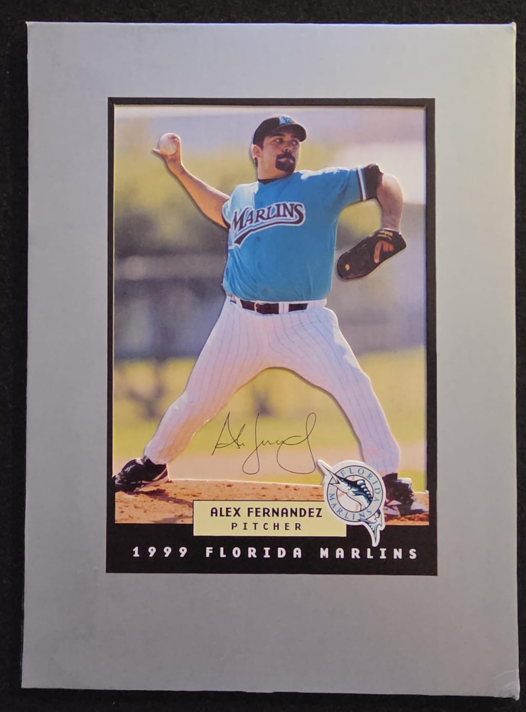1999 Florida Marlins Presentation Display Card Collection / Team Set