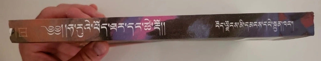 Harry Potter and the Philosopher's Stone – Tibetan Translation First Edition (2007 Paperback)