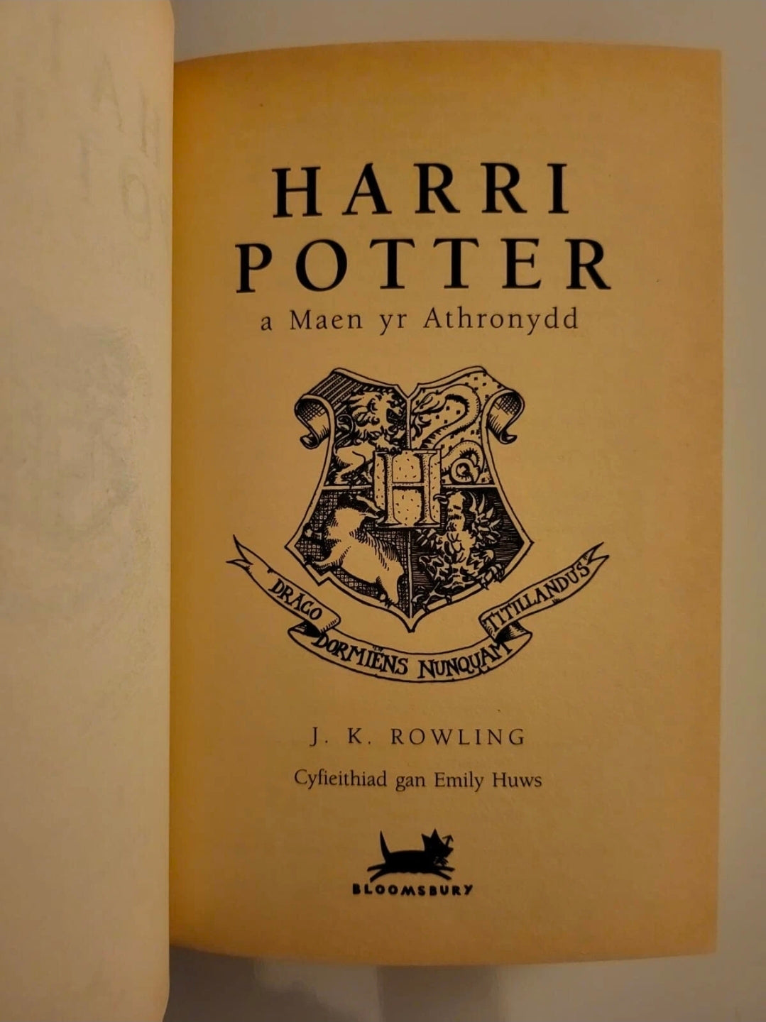 Harry Potter and the Philosopher’s Stone – Welsh Language International Edition (Hardcover, 2003)