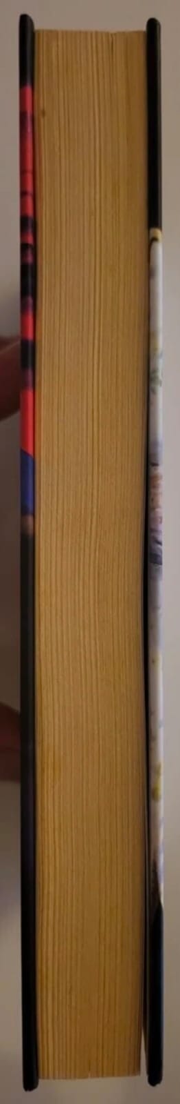 Harry Potter e la Pietra Filosofale – Italian Hardcover Edition