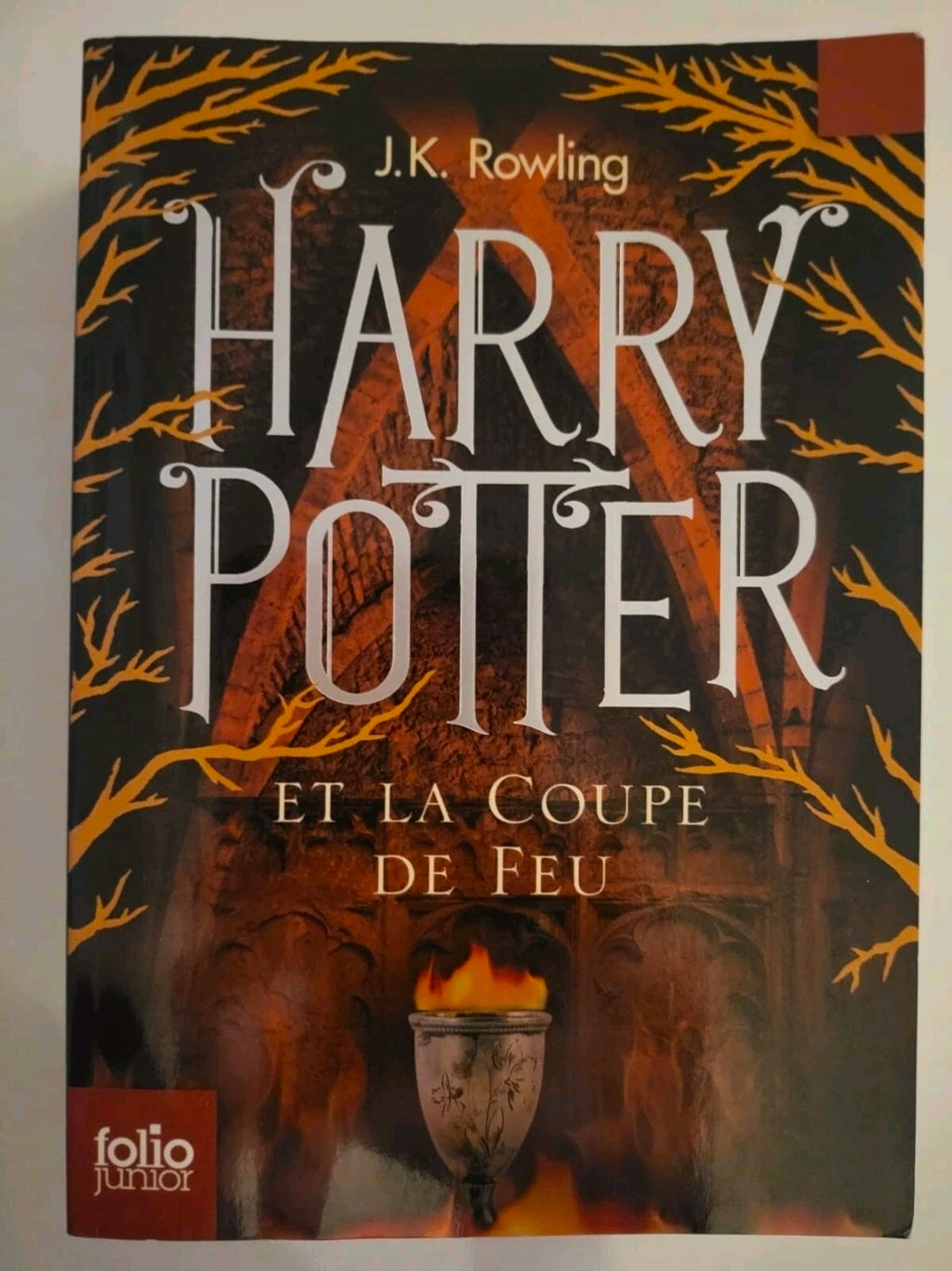 Harry Potter et la Coupe de Feu – French Edition (Paperback, Gallimard 2007)